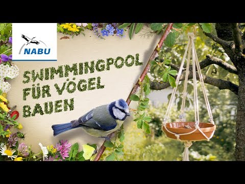 YouTube-Video-Thumbnail